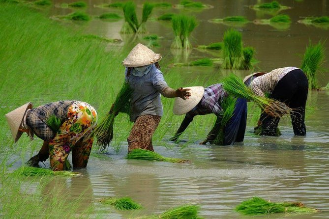 2-Day Mekong Delta and Floating Markets Private Tour - Why two days works better than a rushed Mekong outing
