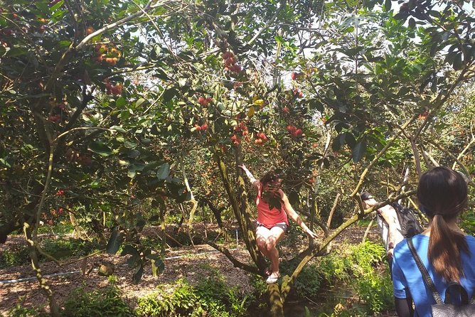 2-Day Mekong Delta with Cai Cang Floating Market from HCM City - Is $245 a fair price?