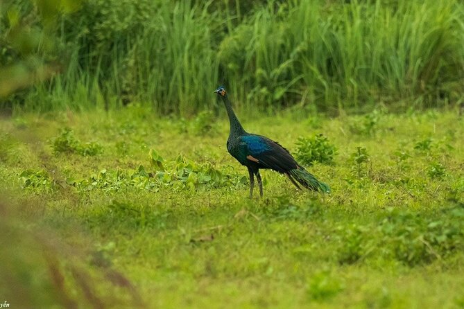 2-Day Trekking & Biking Nam Cat Tien National Park from HCM City - Bau Sau, or Crocodile Lake
