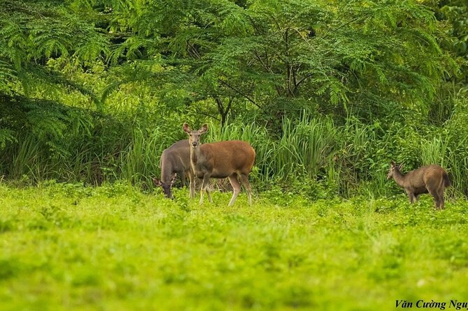 2-Day Trekking & Biking Nam Cat Tien National Park from HCM City - Who will enjoy this two-day escape