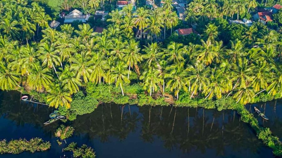 3 DAYS MEKONG DELTA - The Ca Mau route: Khmer culture, churches, and the far south