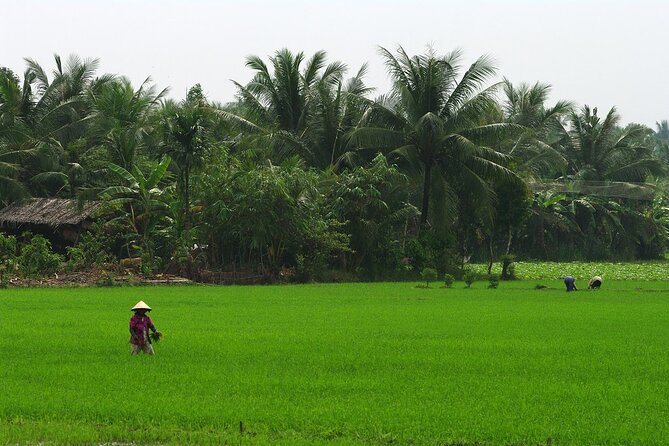 Adventure Cu Chi Tunnels and Mekong Delta Tour From HCM - Cruising the Mekong near My Tho