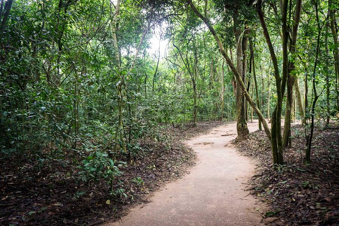 Afternoon Cu Chi Tunnels - Small Group Half-Day Tour - Preparing for Ben Dinh Tunnels