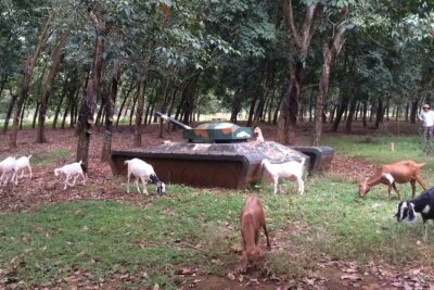 Australian Base, Long Tan & Nui Dat Tour with Vung Tau Beach