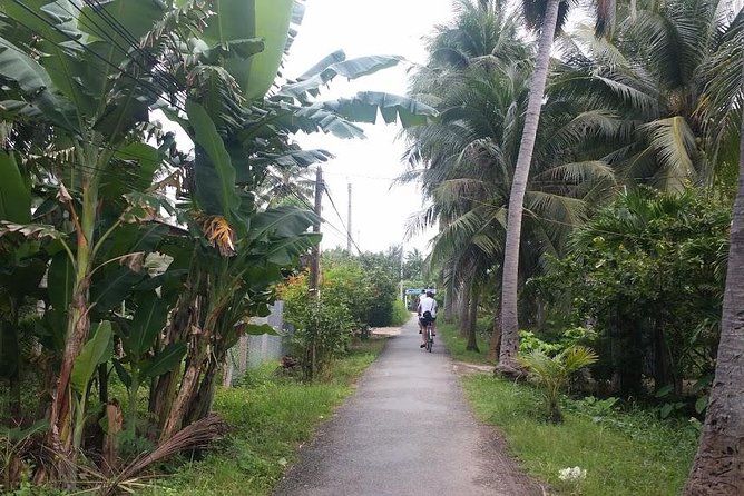 Authentic 'Non-Touristy' Mekong Delta Ben Tre 1 Day Private Tour - Coconut production and small village industries