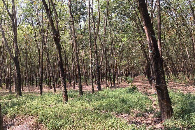 Ben Duoc - Authentic Cu Chi Tunnels Private Tour - Is $95 a fair price?