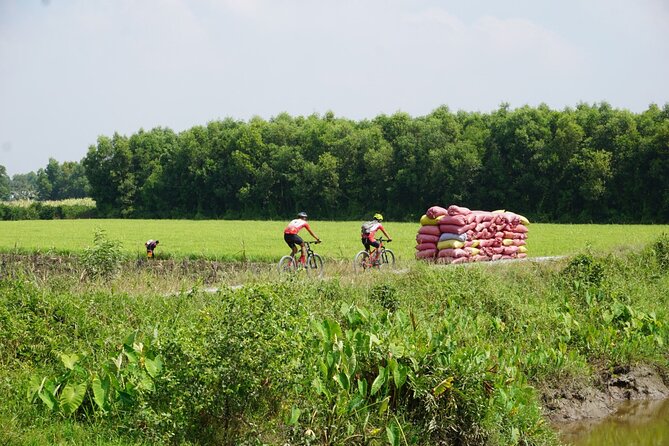 Bike And Boat Mekong Delta Cycling Tour - Riding the raised rice paddies in Tien Giang