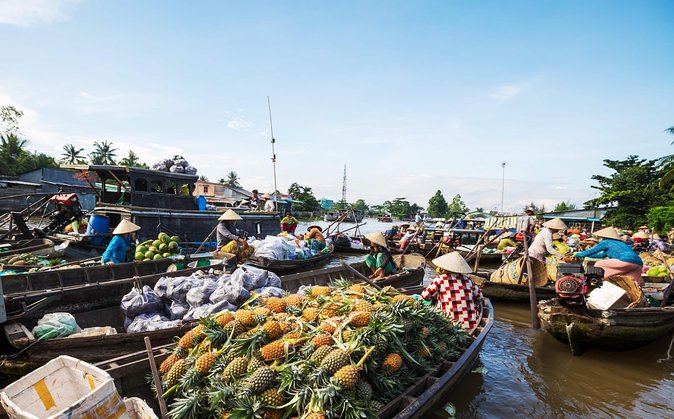 Cai Rang Floating Market & Mekong Delta Private 1-Day Tour - Why the 5:00 AM start matters