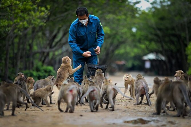 Cần Giờ Eco-Tour with Monkeys, Crocs & War History - Monkey Island and more than 1,000 macaques