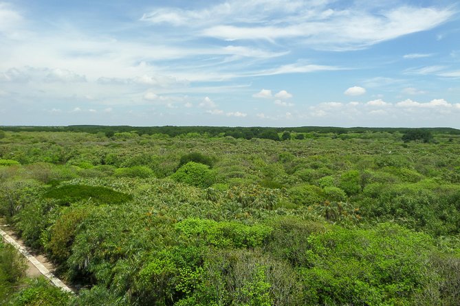 Can Gio Mangrove Eco And Wildlife Discovery Tour - Lunch and the practical value of the package