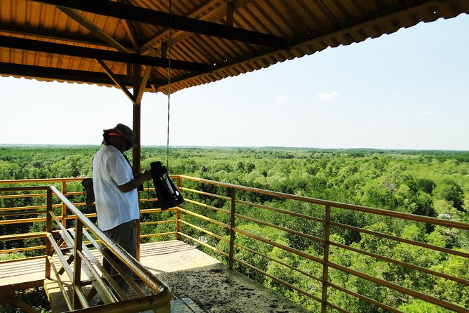 Can Gio Mangrove Eco And Wildlife Discovery Tour - How the small-group setup affects the day
