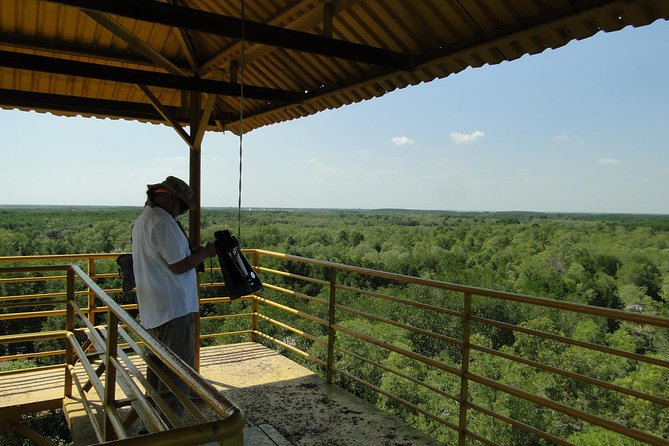Can Gio Mangrove Eco And Wildlife Discovery Tour - From Ho Chi Minh City to Dan Xay Bridge