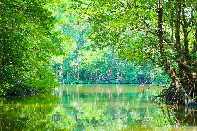 Can Gio Mangrove Forest 1 day tour - Key points to know before booking