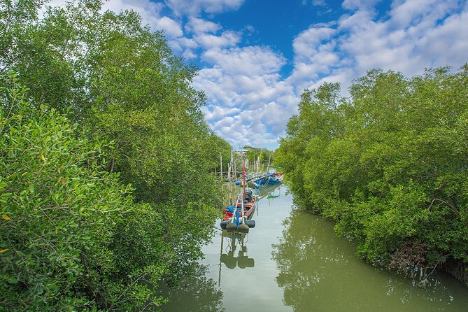 Can Gio Mangrove Forest 1 day tour - Can Gio or Mekong Delta? Check the name carefully