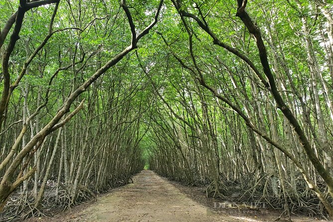 Can Gio Mangrove Forest 1 day tour - Vietnamese lunch, pool time, and April 30 Beach