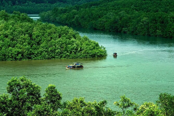 Can Gio Mangrove Forest Island Private Tour From Ho Chi Minh City - From Saigon streets to Can Gio’s wetland