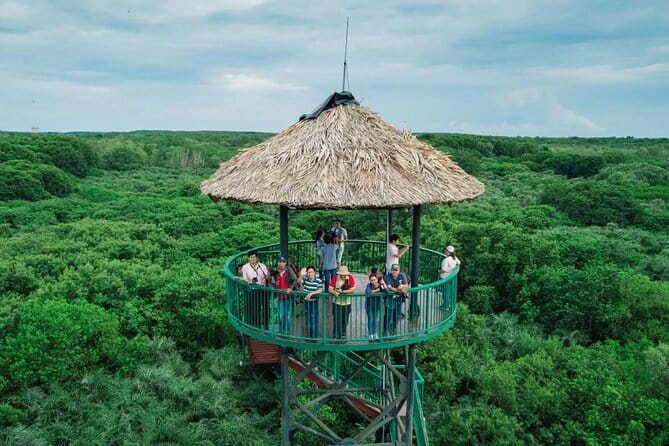 Can Gio Mangrove Forest Island Private Tour From Ho Chi Minh City - Who will enjoy this Can Gio day trip