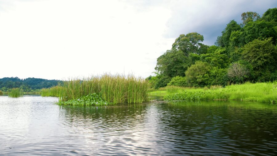 Cat Tien National Park with Crocodile Lake - FAQ