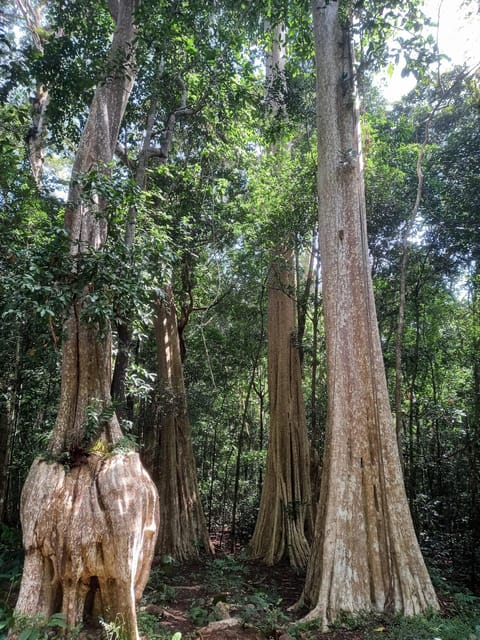 Cat Tien National Park with Crocodile Lake - Crocodile Lake, 9 kilometers by jeep and 5 kilometers on foot