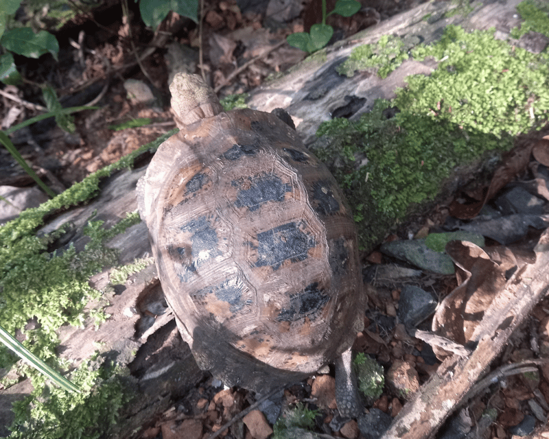 Cat Tien National Park with Crocodile Lake - What the $165 price really covers