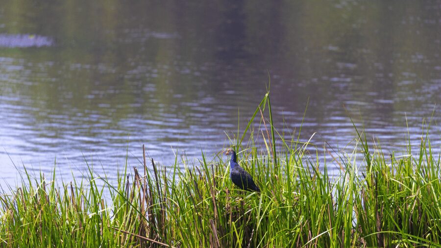 Cat Tien National Park with Crocodile Lake - Who will enjoy this tour most