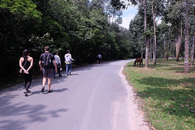 Cu Chi Tunnels By Motorbike and Scooter - Entering the Cu Chi Tunnels at 9:30 AM