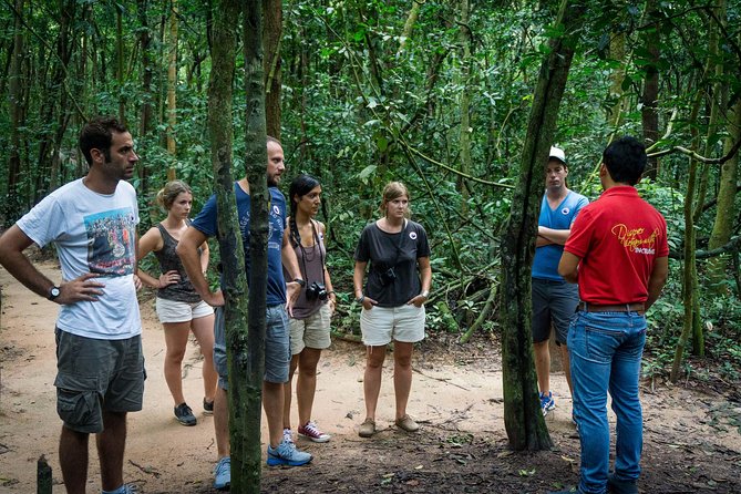 Cu Chi Tunnels Half-Day Tour: Vietnam War Underground Network - Entering the underground passages