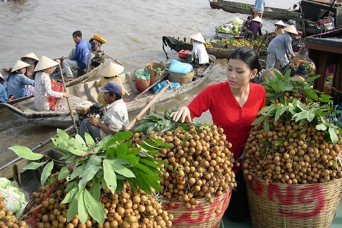 Culture and Wildlife Discovery Explore Chau Doc Tra Su Forest - Who will enjoy this day most