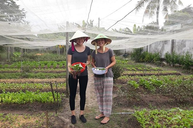 Discover vietnamese Agriculture,culture ,Cuisine and Cu chi Tunnels in Saigon - Understanding rubber production before Cu Chi
