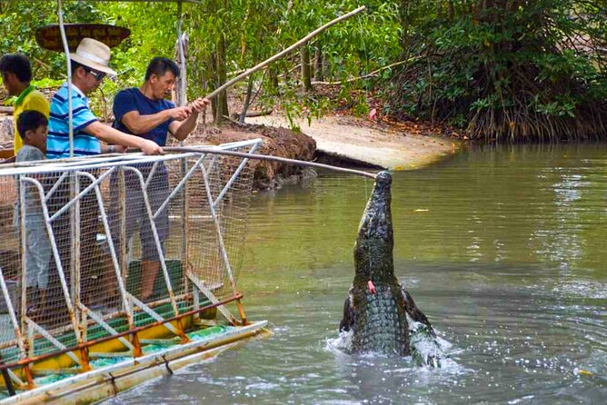 Explore Monkey Islands and Gio Mangrove Forest From Ho Chi Minh - Monkey Island and its clever residents