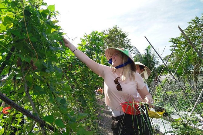 Explore Vietnamese Cuisine: Cooking Class from Ho Chi Minh City - Why the private transport matters