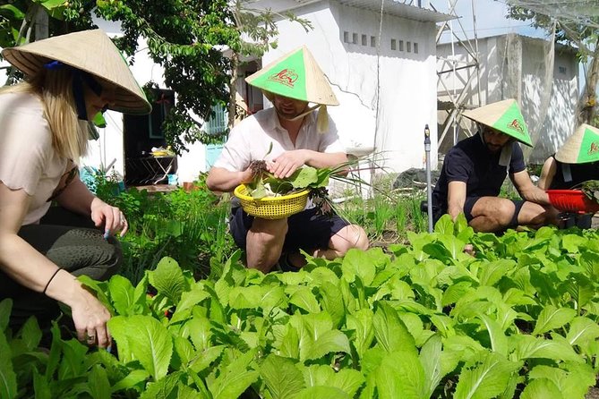 Explore Vietnamese Cuisine: Cooking Class from Ho Chi Minh City - A practical plan for the morning