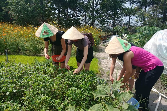 Farm-To-Table Healthy Cooking Class in Ho Chi Minh City - Why the farm visit matters before you cook