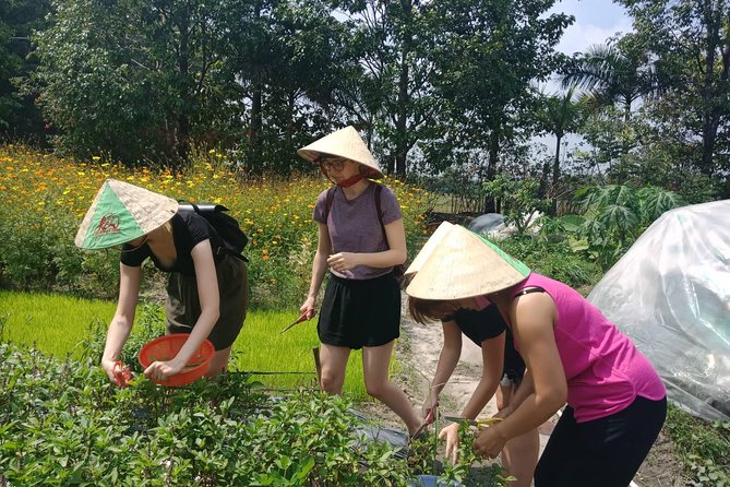 Farm-To-Table Healthy Cooking Class in Ho Chi Minh City - The meal is part of the lesson