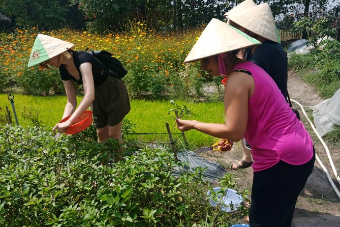 Farm-To-Table Healthy Cooking Class in Ho Chi Minh City - Who will enjoy this day most?