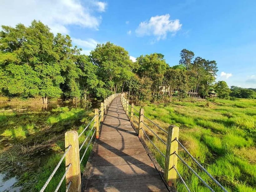 From HCM: Cat Tien Park Jungle Day Trip with Optional 2D1N - Ancient trees and Ghenh Be Cu stream