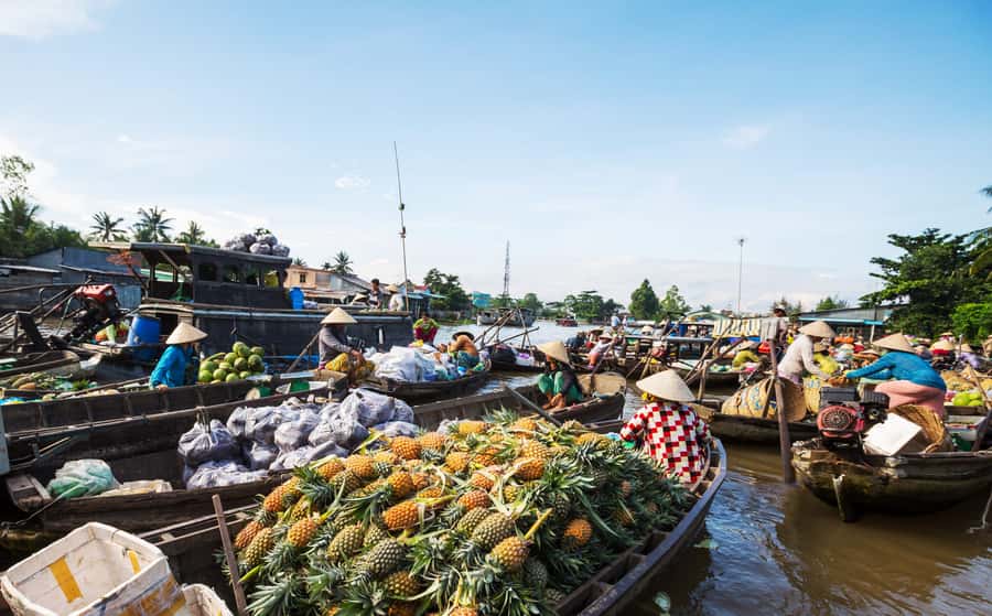 From HCM: Mekong Delta & Cai Rang Floating Market 2-Day Tour - My Tho and the first Mekong River ride