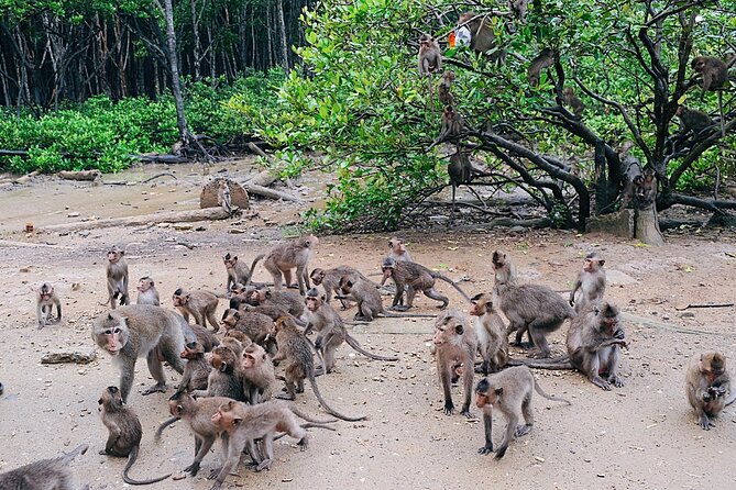 From Ho Chi Minh: Can Gio Trek – Monkey Island & Crocodile Farm - Crocodiles at Hoa Ca: interesting, but keep expectations modest