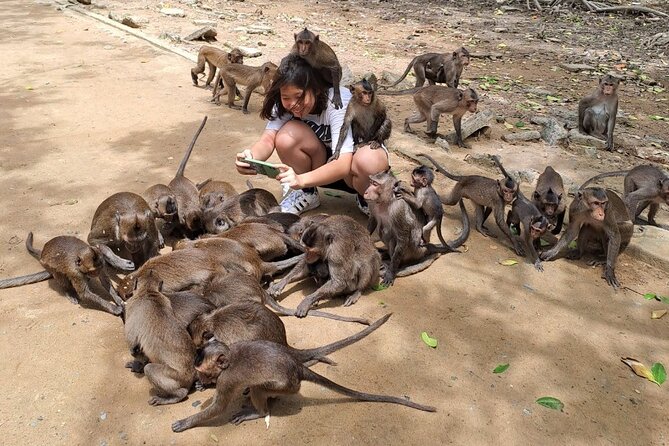 From Ho Chi Minh: Can Gio Trek – Monkey Island & Crocodile Farm - Who should book this outing