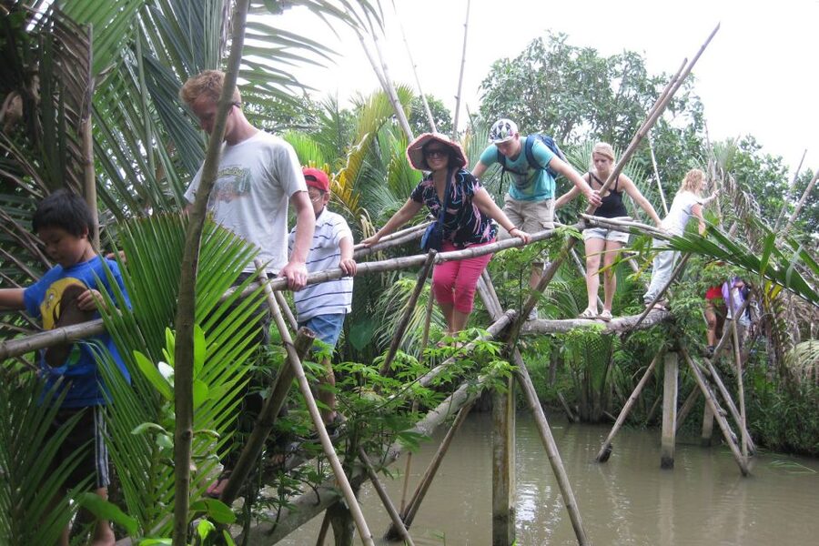 From Ho Chi Minh City: Mekong Delta VIP Tour by Limousine - What the $49 price really buys