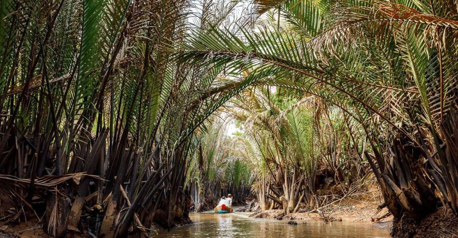 From Ho Chi Minh: Classic Mekong - My Tho, Ben Tre Full Trip - From Ho Chi Minh City to the Mekong Delta