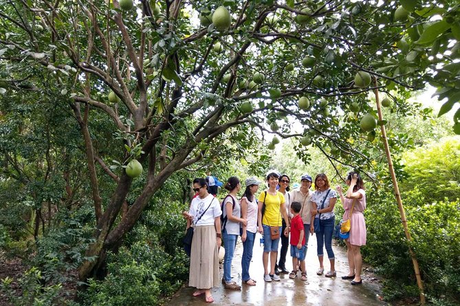 From Ho Chi Minh: Full-Day Mekong Delta Tour to My Tho & Ben Tre - Vinh Trang Pagoda and its unusual mix of styles