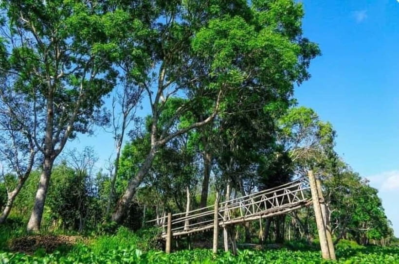 From Ho Chi Minh: Mekong Delta 3-Day Tour with Tra Su Forest - Tra Su Forest by motorboat