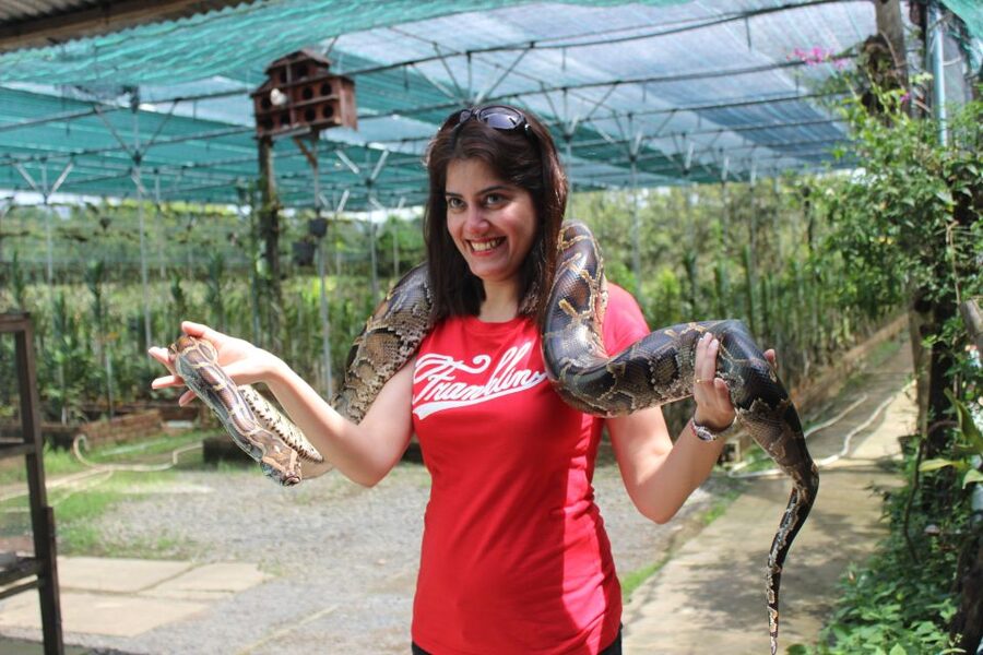 From Ho Chi Minh: Mekong Delta Private Day Tour - What the $104 price covers