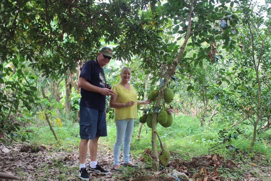 From Ho Chi Minh: Mekong Delta Private Day Tour - Honey tea, tropical fruit, and the local food stops