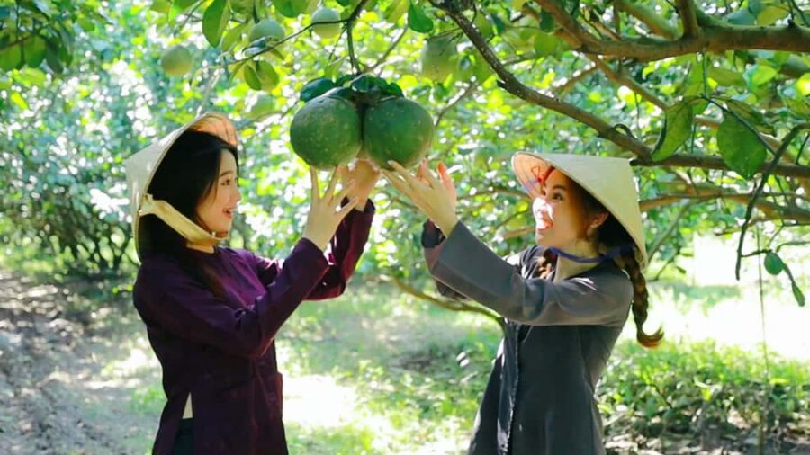 From Ho Chi Minh: Mekong Delta Tour to My Tho & Ben Tre 1Day - Ben Tre and the taste of coconut country