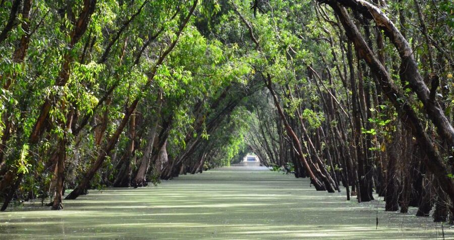 From Ho Chi Minh: Three-Day Mekong Delta Tour - Key points at a glance