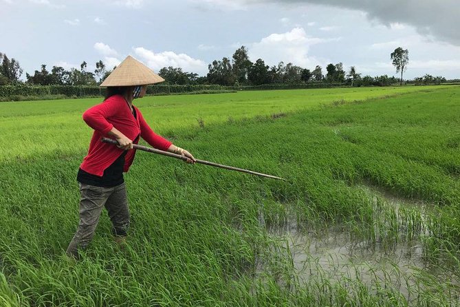 FULL Day - CAI RANG FLOATING MARKET, COOKING CLASS AND EXPLORE THE COUNTRYSIDE - A hammock break in the middle of the day