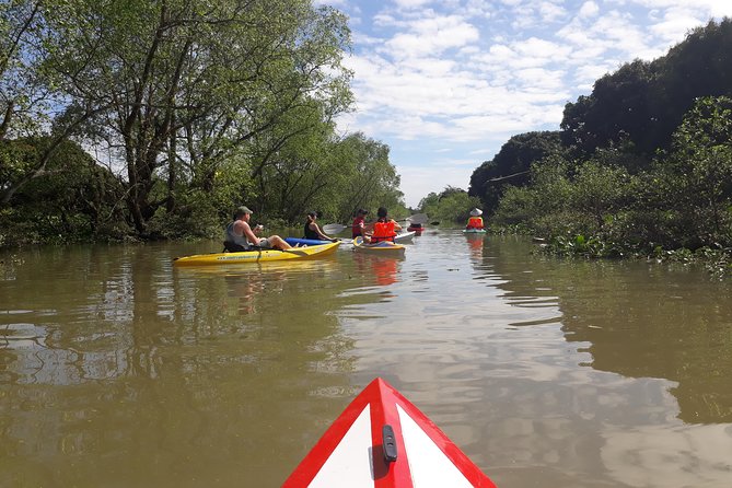 Full Day Experience Mekong River Life By Kayak & Boat. - Walking around a wet market and returning by boat