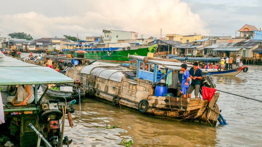 HCMC: Cai Rang Floating Market & Mekong Delta Private Tour - Who should book this Mekong Delta tour